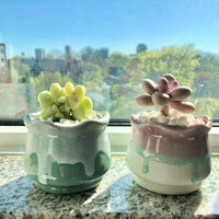 CACHE-POT - LOTUS VERT LAITEUX