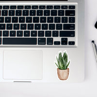 AUTOCOLLANT - PLANTE D'INTÉRIEUR