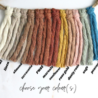 SUPPORT POUR PLANTES EN MACRAMÉ BICOLORE | JARDINIÈRE SUSPENDU D'INTÉRIEUR