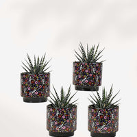 POT - JOUR DES MORTS