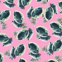 PAPIER CADEAU - BEAUTIFUL HOUSEPLANTS