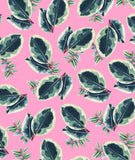 PAPIER CADEAU - BEAUTIFUL HOUSEPLANTS