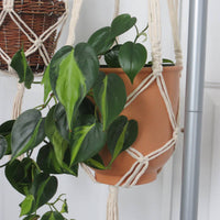 SUPPORT POUR PLANTES EN MACRAMÉ | JARDINIÈRE SUSPENDU D'INTÉRIEUR
