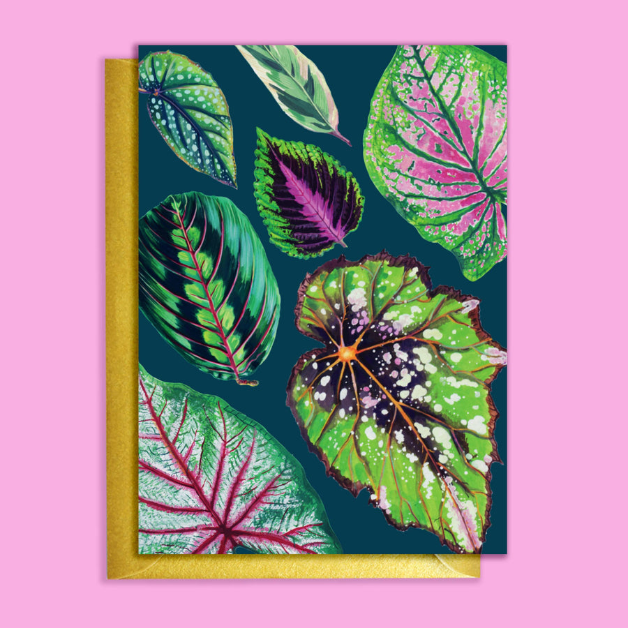 GREETING CARD - VIVID MIXED HOUSEPLANTS TEAL DESIGN
