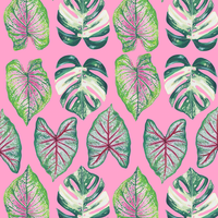 PAPIER CADEAU - BEAUTIFUL HOUSEPLANTS