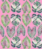 PAPIER CADEAU - BEAUTIFUL HOUSEPLANTS