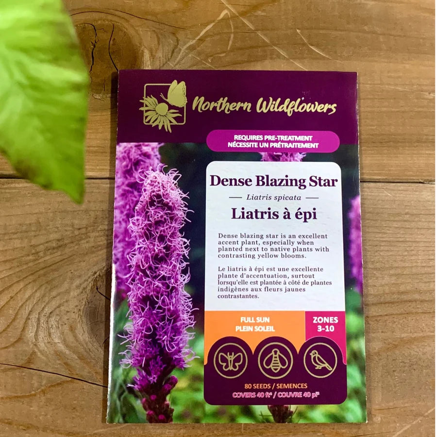 FLOWER SEEDS: SPIKED LIATRIS