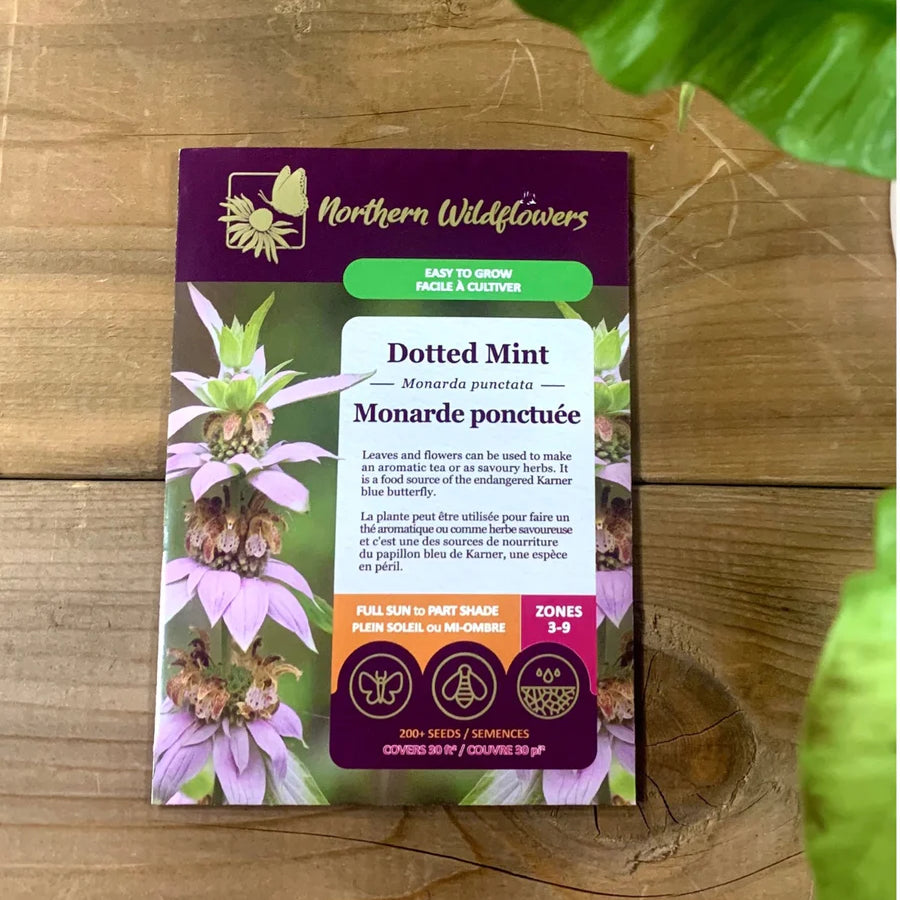 FLOWER SEEDS: SPOTTED BEE BALM