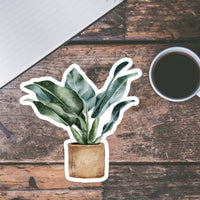 AUTOCOLLANT - PLANTES D'INTÉRIEUR