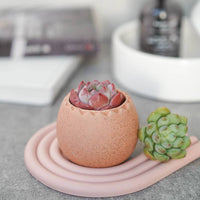 POT - OEUF ARC-EN-CIEL