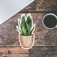 AUTOCOLLANT - PLANTE D'INTÉRIEUR