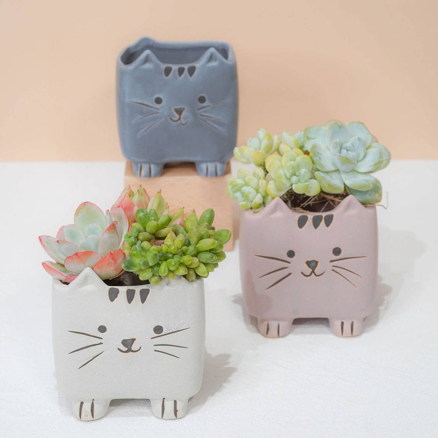 CACHE-POT- CHAT DE DESSIN ANIMÉ