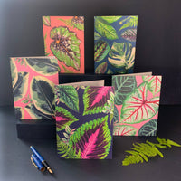 CARTE DE VOEUX - PLANTES D'INTERIEUR COLEUS ROSE