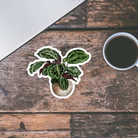 AUTOCOLLANT - PLANTE D'INTÉRIEUR