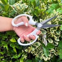 PRUNING SHEARS