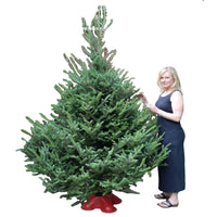 SUPPORT POUR ARBRE DE NOEL