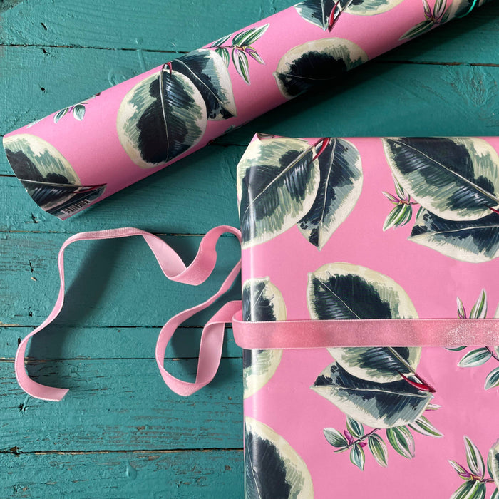 PAPIER CADEAU - BEAUTIFUL HOUSEPLANTS