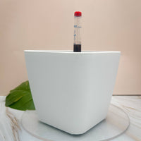 POT AUTO-ARROSANT DE 6 POUCES