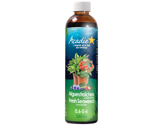 ENGRAIS NATUREL ALGUES FRAÎCHES CONCENTRÉES 0,6-0-6