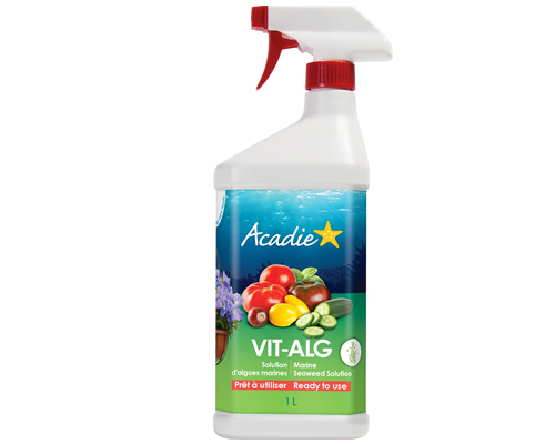 ENGRAIS NATUREL VIT-ALG SOLUTIONS D'ALGUES MARINES