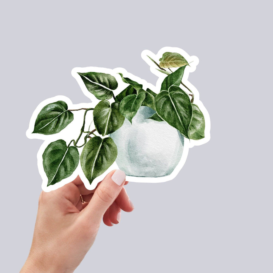 AUTOCOLLANT - PLANTE D'INTÉRIEUR