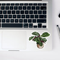 AUTOCOLLANT - PLANTE D'INTÉRIEUR