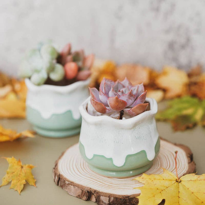 CACHE-POT - LOTUS VERT LAITEUX