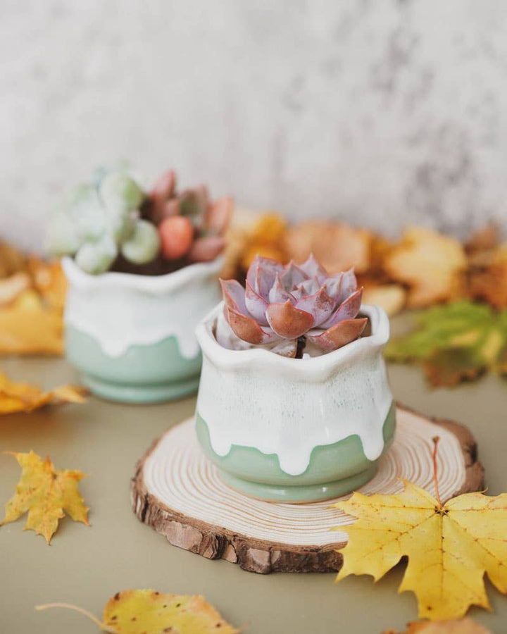 PLANTER - MILKY GREEN LOTUS