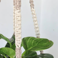 SUPPORT POUR PLANTES EN MACRAMÉ BICOLORE | JARDINIÈRE SUSPENDU D'INTÉRIEUR