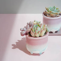 POT - ÉMAILLÉS  À GOUTTES BLEUES
