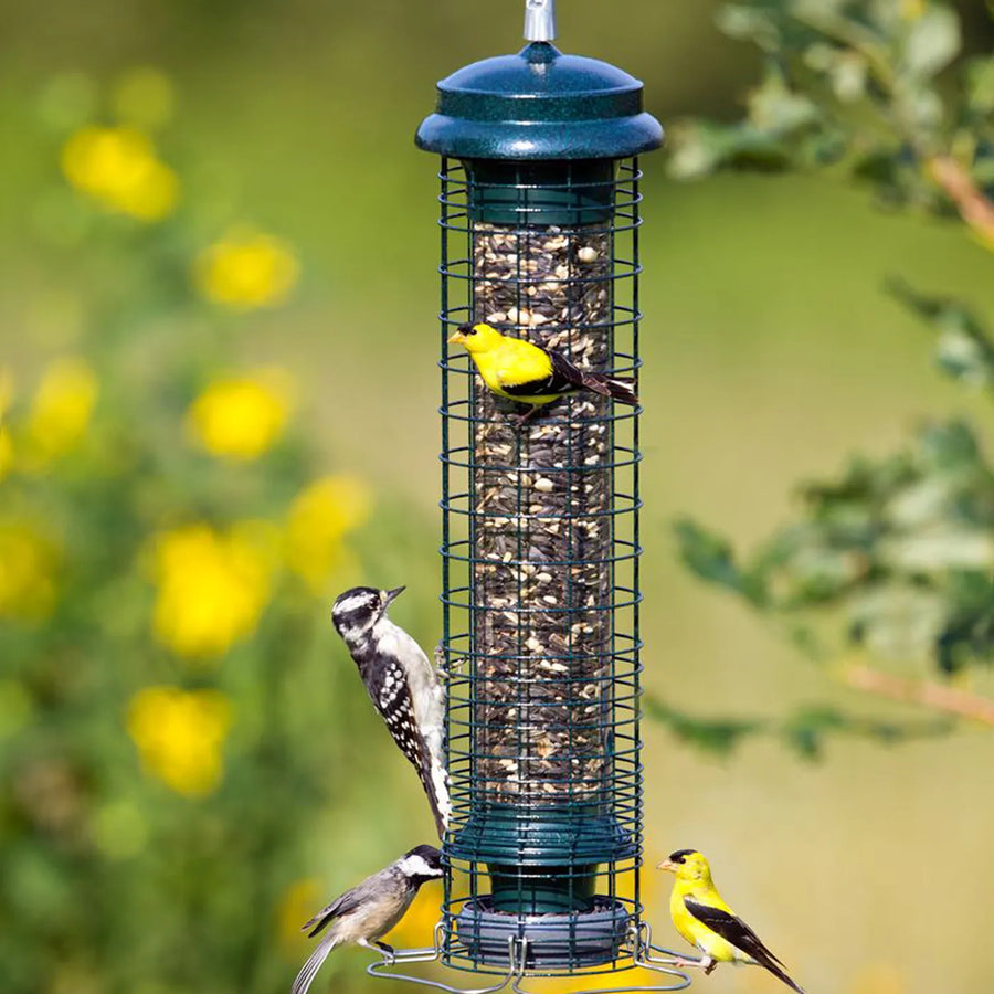 SQUIRREL BUSTER NUT FEEDER