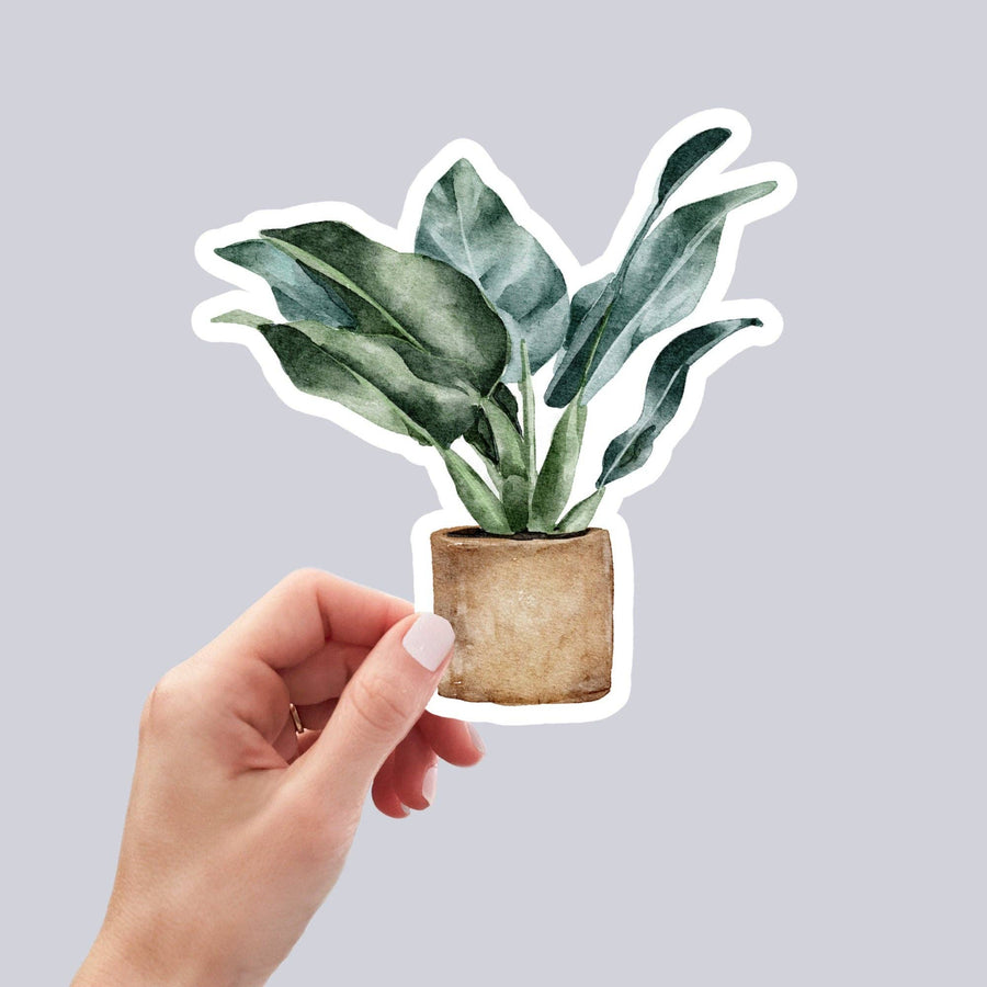 AUTOCOLLANT - PLANTES D'INTÉRIEUR