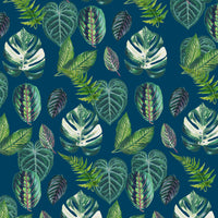 PAPIER CADEAU - BEAUTIFUL HOUSEPLANTS