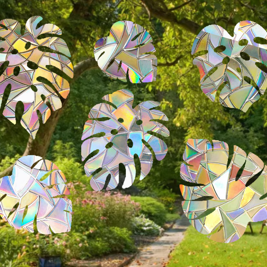 MONSTERA SUN CATCHERS