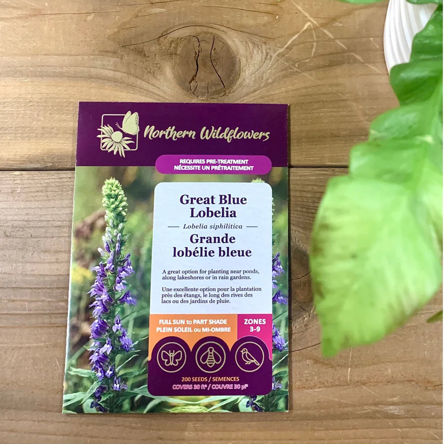FLOWER SEEDS: GREAT BLUE LOBELIA