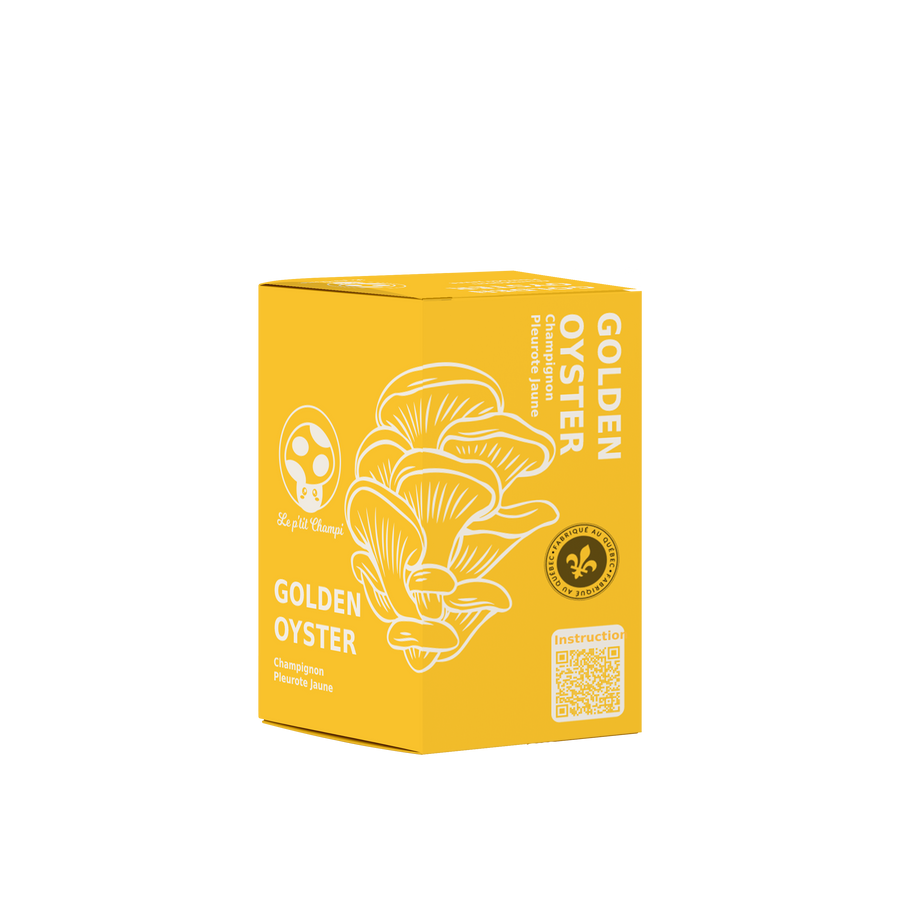 GOLD OYSTER MUSHROOM GROWING KIT