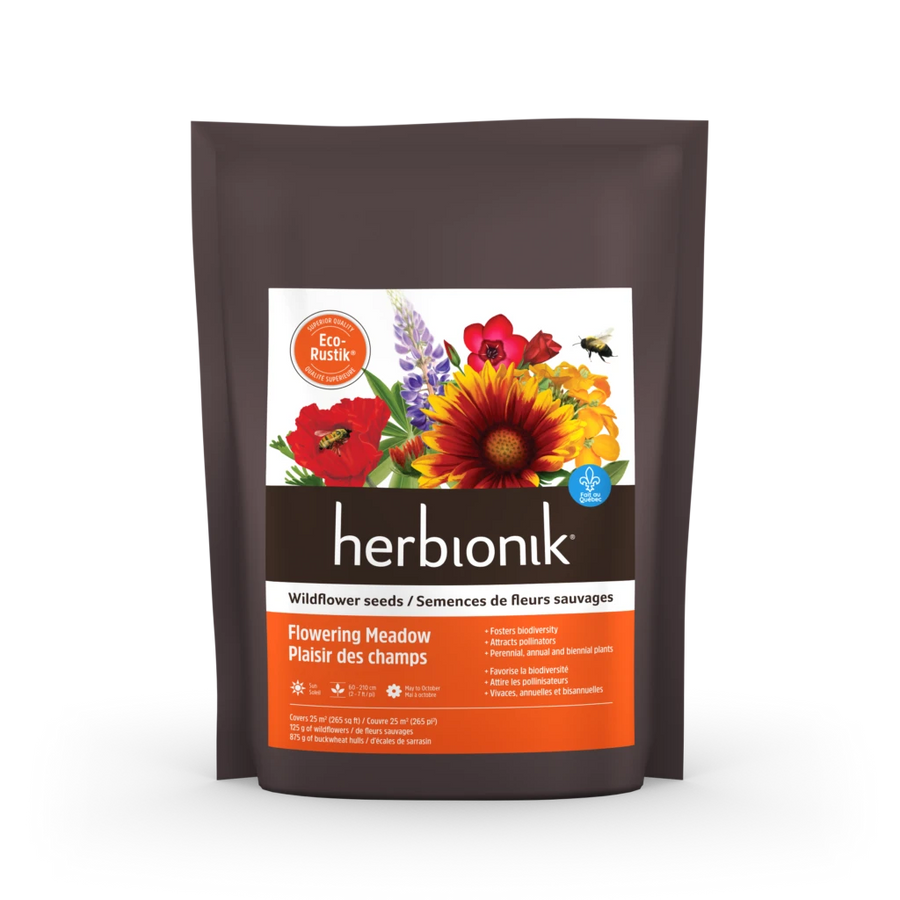 WILDFLOWER SEEDS - FIELD DELIGHTS