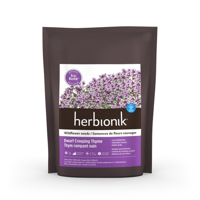 SEMENCES THYM SERPOLET RAMPANT 900G