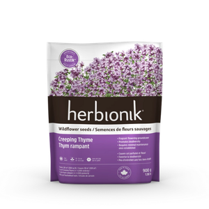 CREEPING THYME SEEDS 900G