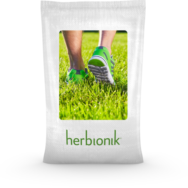 SEMENCE À GAZON HERBIONIK - PÂTURIN DU KENTUCKY