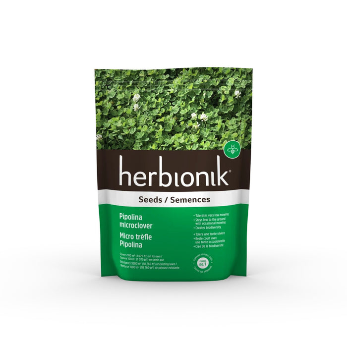 SEMENCE DE TRÈFLE BLANC MICRO PIPOLINA