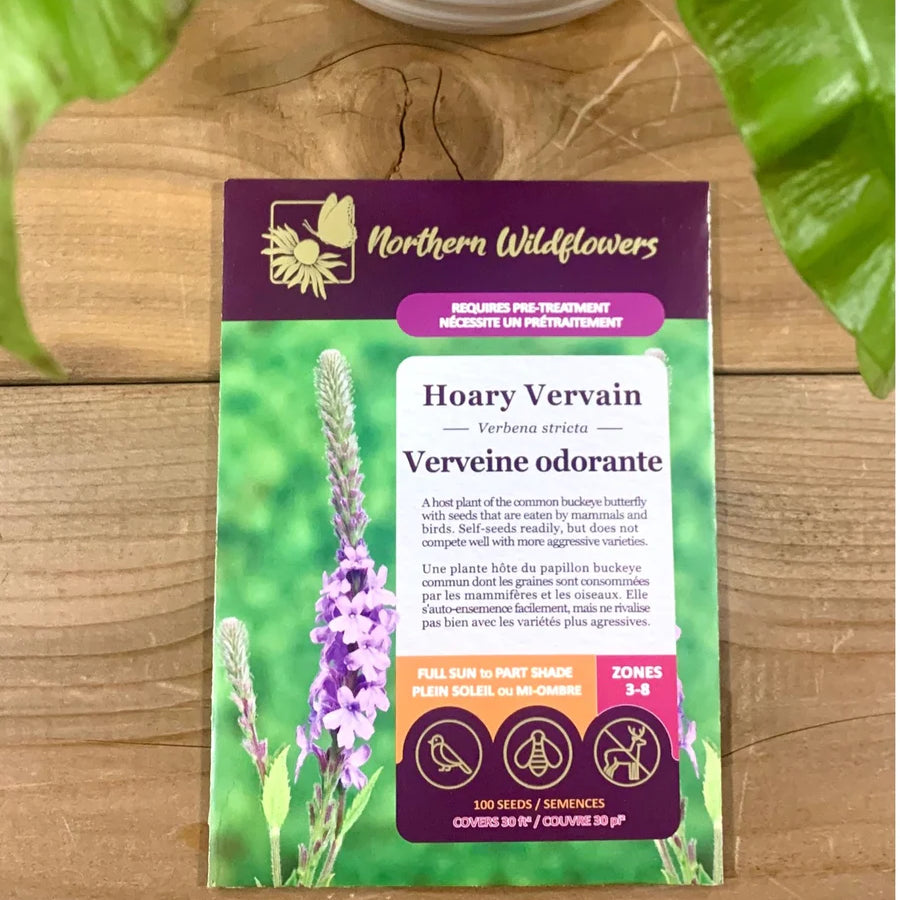 FLOWER SEEDS: LEMON VERBENA