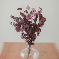 BOUQUET D'EUCALYPTUS