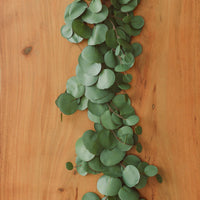 GUIRLANDE D'EUCALYPTUS SILVER DOLLAR ULTA RÉALISTE