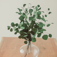 BOUQUET D'EUCALYPTUS