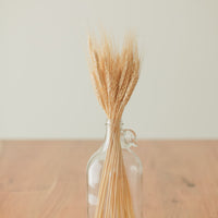 BOUQUET DE BLÉ SÉCHÉ