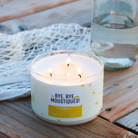 CHANDELLE - BYE, BYE, MOUSTIQUES!