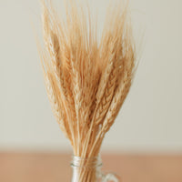 BOUQUET DE BLÉ SÉCHÉ