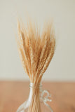 BOUQUET DE BLÉ SÉCHÉ