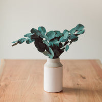 BOUQUET D'EUCALYPTUS